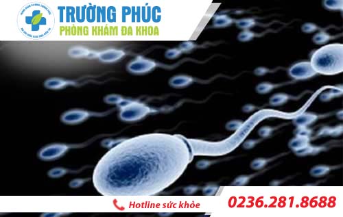 chất lượng tinh trùng thế nào là tốt bác sĩ nam khoa tư vấn chat luong tinh trung the nao la tot bac si nam khoa tu van