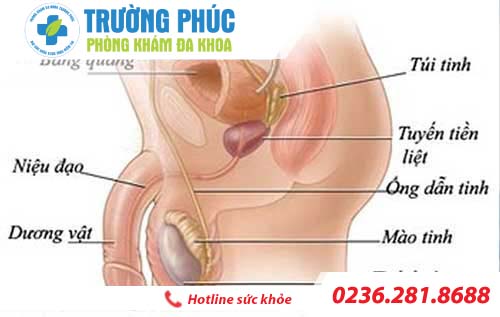 dieu tri viem mao tinh hoan bang cach nao