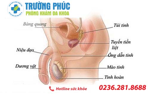 Điều trị viêm túi tinh bằng phương pháp nào?