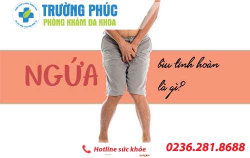 Nguyên nhân và cách điều trị ngứa tinh hoàn ở nam giới