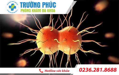nguyen nhan gay viem tinh hoan nam gioi nen biet