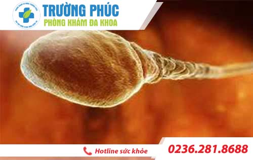 tim hieu benh roi loan xuat tinh