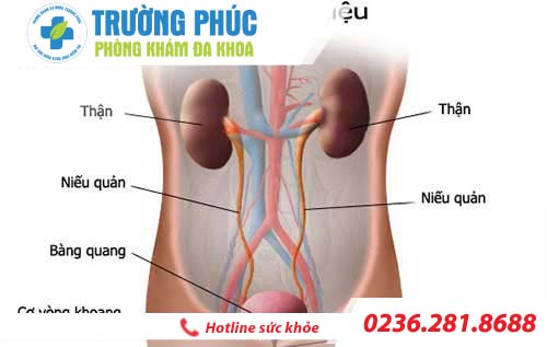 tim hieu ve benh viem duong tiet nieu o nam gioi