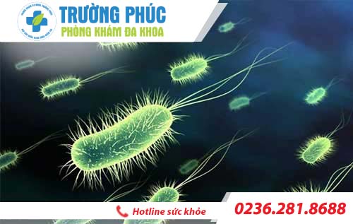 tim hieu ve benh viem duong tiet nieu o nam gioi