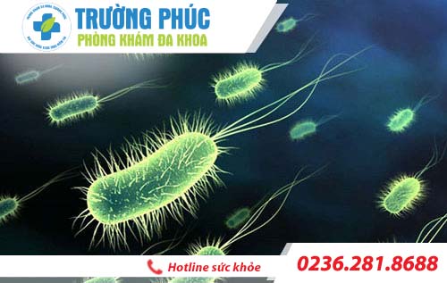 tình trạng viêm dương vật ở nam giới tinh trang viem duong vat o nam gioi