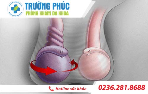 trường hợp tinh hoàn nhỏ có ảnh hưởng gì không truong hop tinh hoan nho co anh huong gi khong