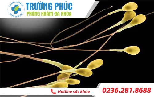 tinh trung co mau vang la benh gi