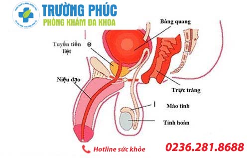 Triệu chứng bệnh viêm niệu đạo không thể bỏ qua